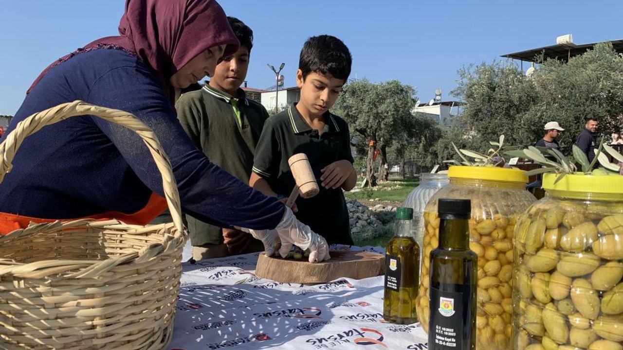 Zeytin gen bahçesi okullara ev sahipliği yapıyor