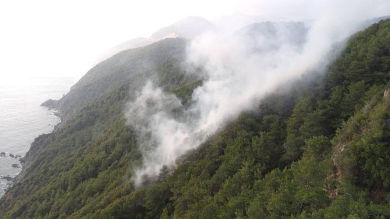 Mersin'de yıldırım düşen ormanlık alanda yangın çıktı