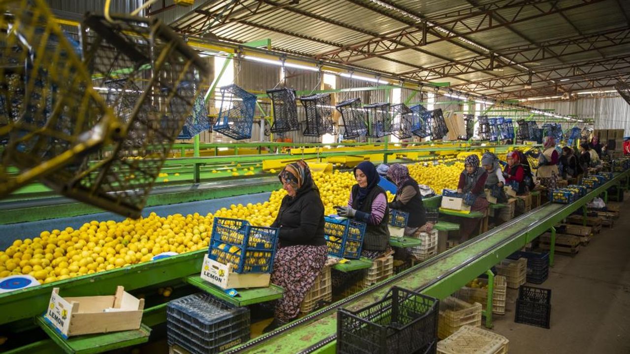 Mersin'den deprem bölgesine 160 ton narenciye ürünü gönderildi