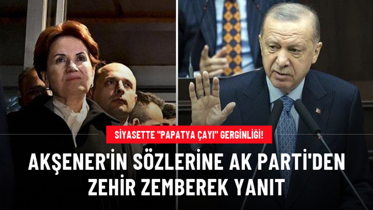 Akşener'in Cumhurbaşkanı Erdoğan'a yönelik "Papatya çayı iç" sözlerine, AK Parti'den zehir zemberek yanıt