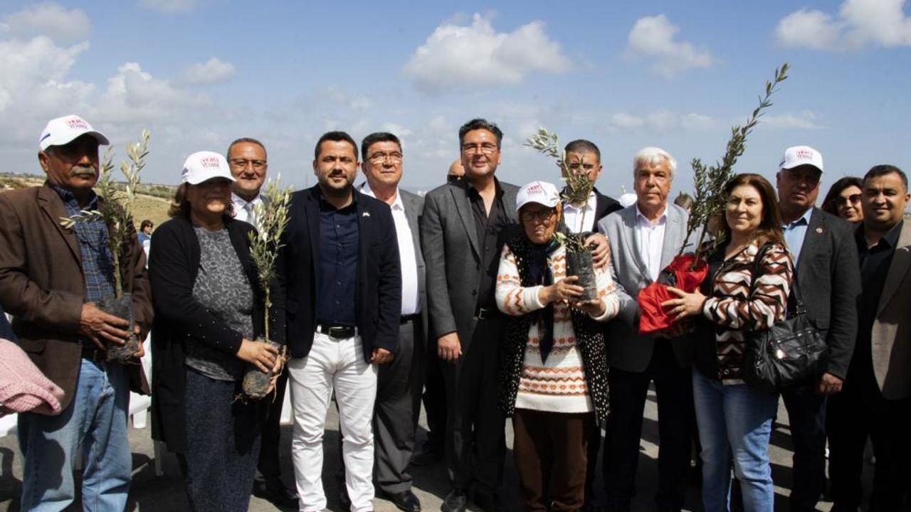 Mersin'de üreticilere 11 bin 100 adet zeytin fidanı desteği sağlandı