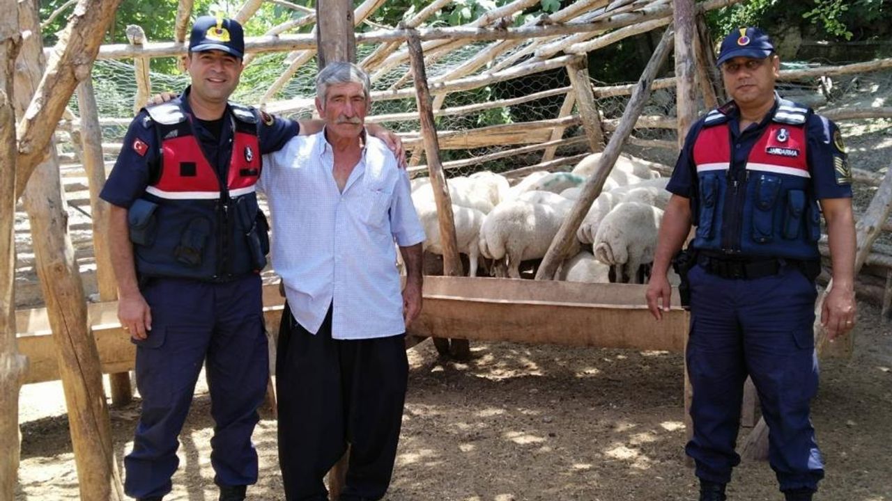 Mersin'de küçükbaş hayvan hırsızları tutuklandı