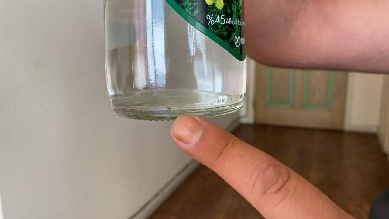 Mersin'de kapalı içki şişesinin içinde şok eden görüntü