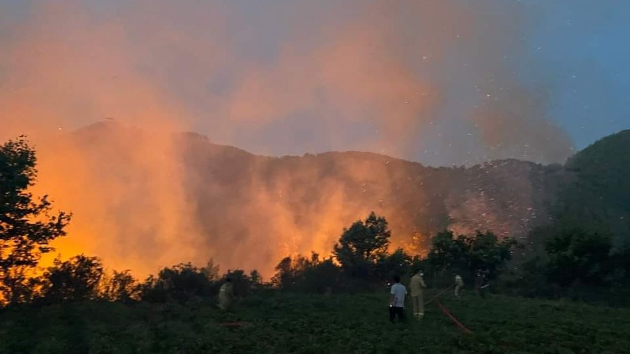 Mersin'de orman yangını havadan ve karadan müdahale ile kontrol altına alındı
