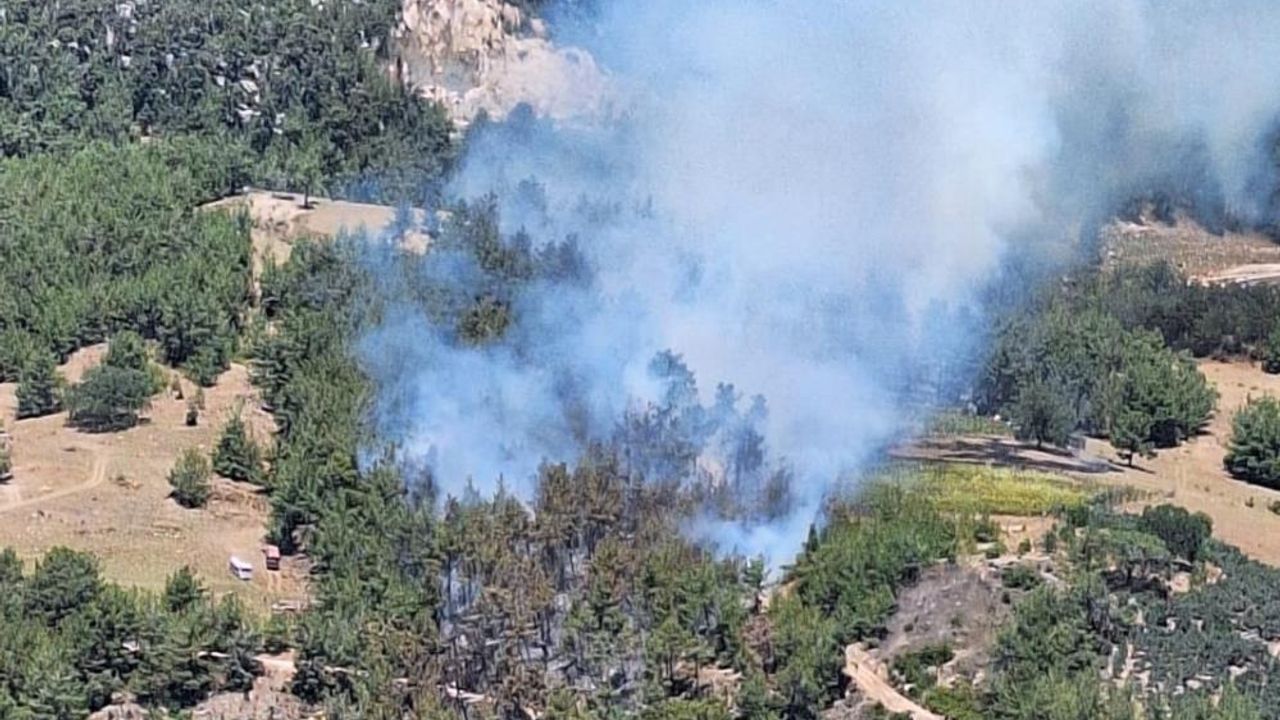 Mersin'deki ikinci orman yangını da kontrol altına alındı