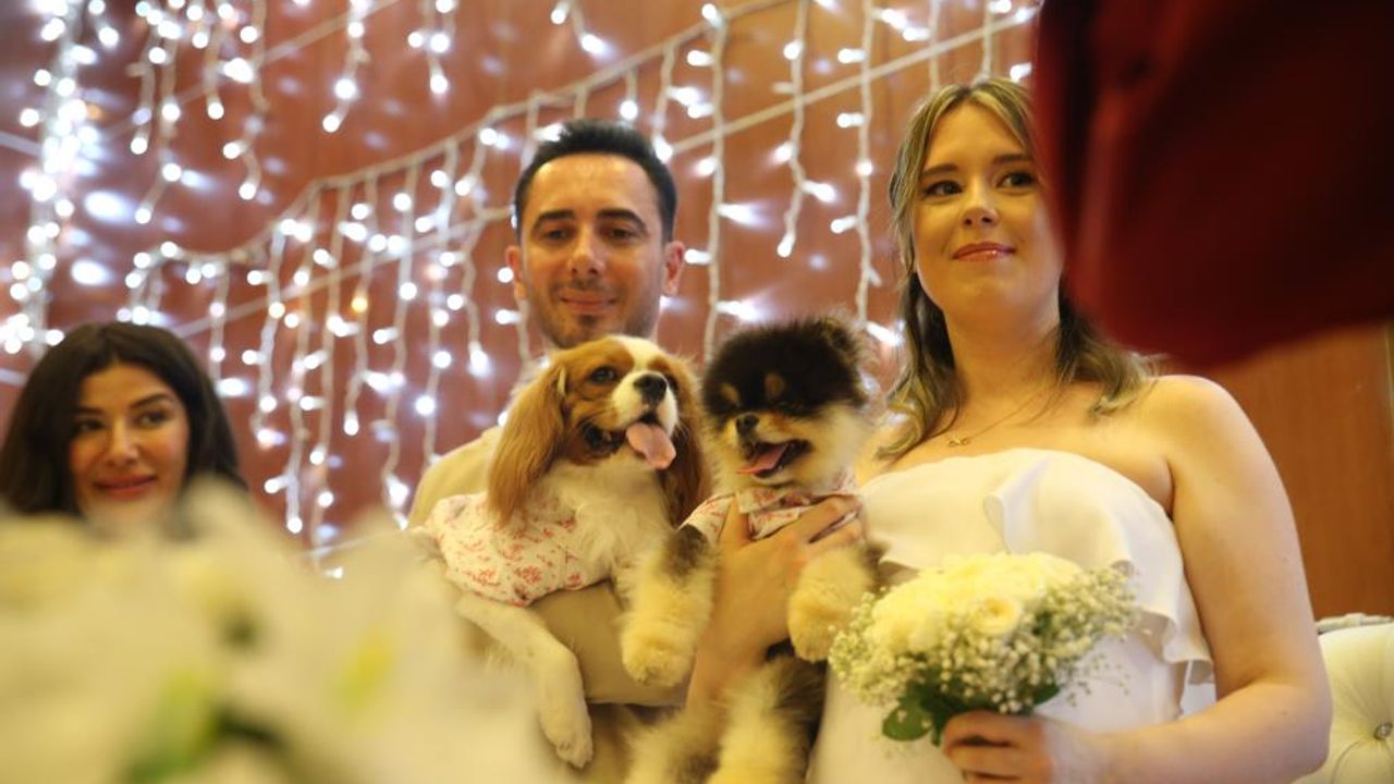 Mersin'de Türk damat ile Rus gelinin tanışmasına vesile olan köpekleri de nikah masasında yer aldı