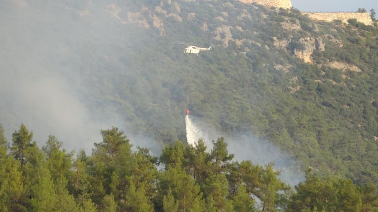 Mersin'de dünyaca ünlü vadide çıkan orman yangını söndürüldü