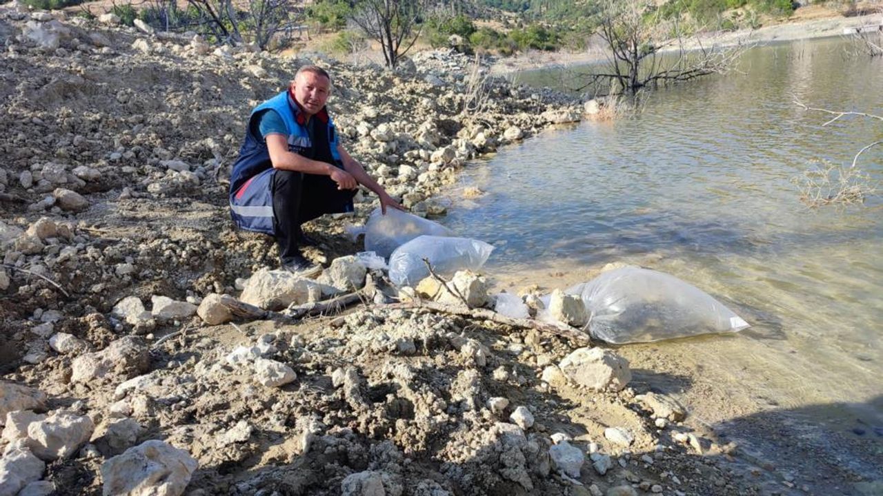Mersin’de Dereyurt Göletine 15 bin sazan balığı yavrusu bırakıldı