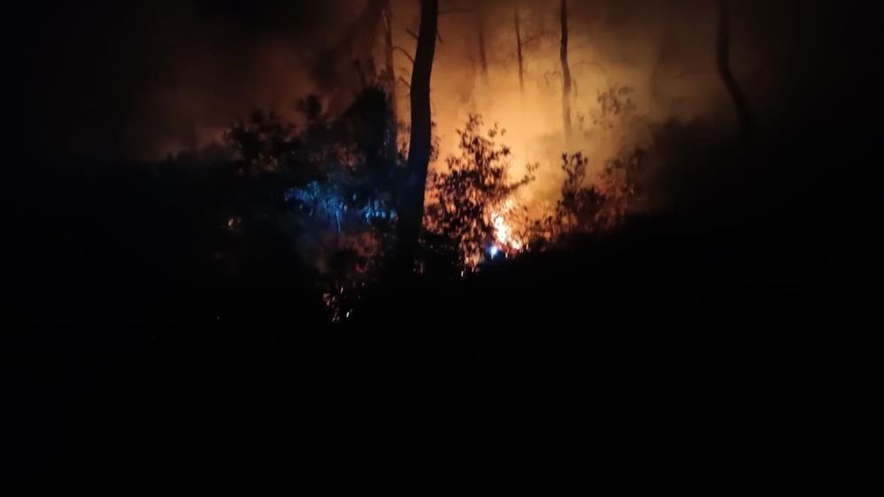 Adana’da aynı bölgede bir haftada ikinci orman yangını