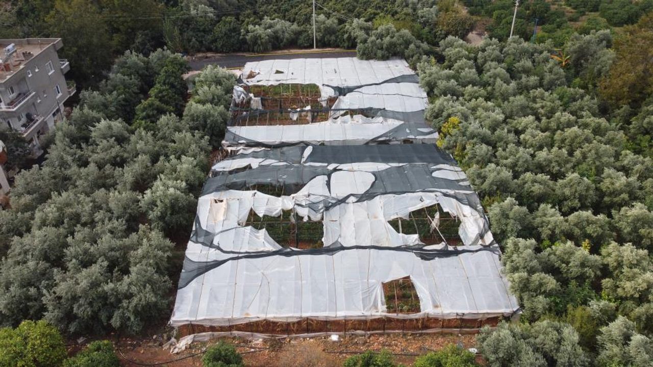 Mersin'de dolu bir çok bahçeye zarar verdi, limonda yüzde 70'e kadar hasar tespit edildi