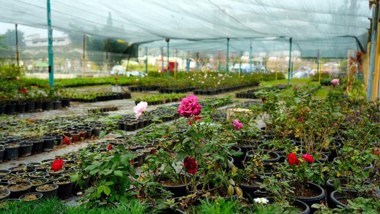 Başkan Bozdoğan: "Binlerce fidan ve çiçeği kendi tesislerimizde yetiştiriyoruz"