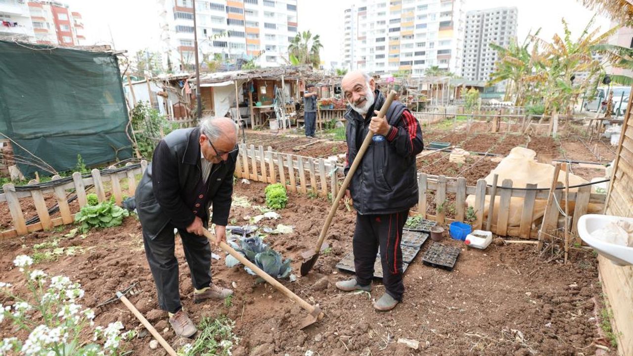 Mezitli'nin 'Hobi Bahçeleri'ne büyük ilgi