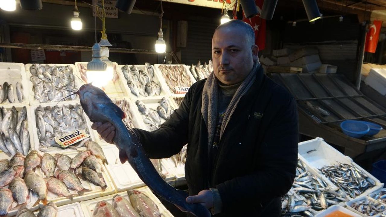 Akdeniz'de balık bereketi