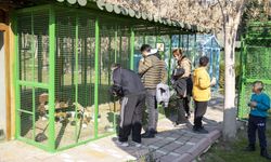 Yarıyıl tatilinde Tarsus Doğa Parkı'na yoğun ilgi