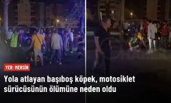 Mersin'de yola atlayan başıboş köpek, motosiklet sürücüsünün ölümüne neden oldu