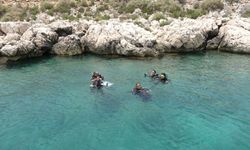 Akdeniz Boğsak Adası çevresinde zengin biyoçeşitliliği gözlendi