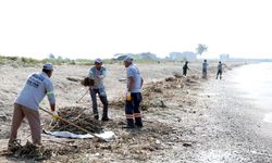 Mersin'de caretta carettaların üreme alanı sahiller temizleniyor