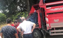 Mersin'de kamyonet ağaca çarptı: 1 ölü, 6 yaralı