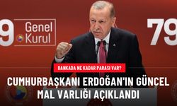 Bankada ne kadar parası var? Cumhurbaşkanı Erdoğan'ın güncel mal varlığı açıklandı