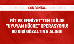 Son Dakika! PKK terör örgütüne yönelik "Uyuyan Hücre" operasyonunda 90 şüpheli gözaltına alındı