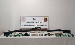 Mersin'de silah kaçakçılığı operasyonu: 1 gözaltı