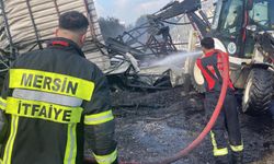 Mersin'de narenciye paketleme tesisindeki yangın söndürüldü