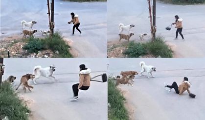 Mersin’de köpeklerin saldırdığı genç kızın korku dolu anları kamerada