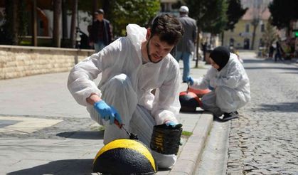 Zübeyde Hanım Caddesi uğur böcekleriyle donatılıyor