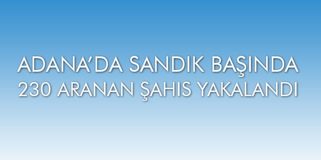Adana’da sandık başında 230 aranan şahıs yakalandı