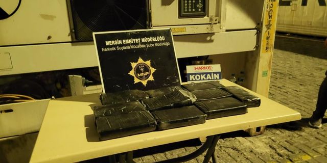 Mersin Limanı'nda 11 kilogram kokain ele geçirildi
