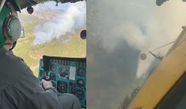 Adana'daki orman yangınına havadan müdahale de başladı