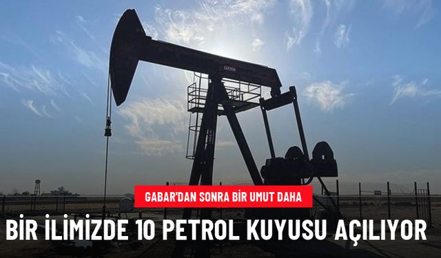 Gabar'dan sonra bir umut daha! Adana'da 10 sondaj kuyusu açılıp petrol aranacak