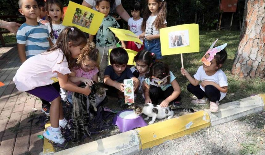 Manavgat Belediyesi’nin kreş öğrencileri sokak hayvanlarını besledi