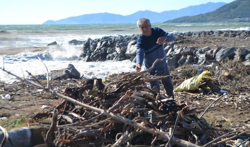 Mersin'de  vatandaşlar sel sularıyla taşınan odunları topladı